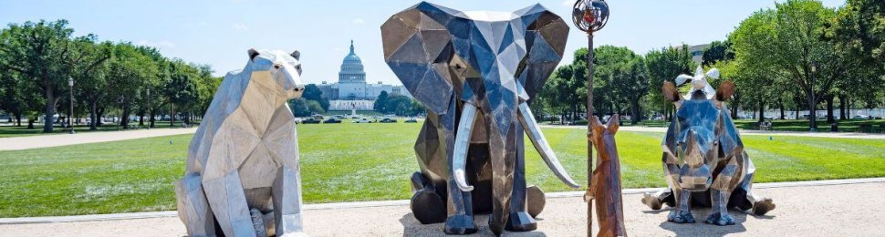 The Council of Animals exhibit