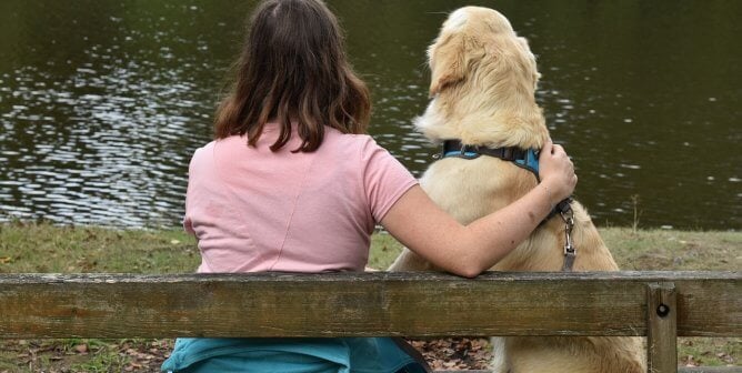 dog in blue harness and woman look out at lake together