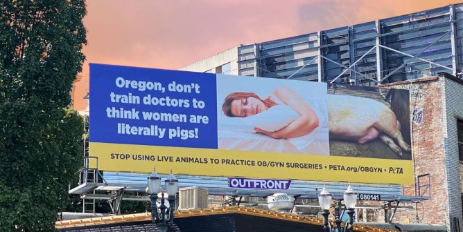 Campaign Updates: OHSU Mutilates Pigs in OB/GYN Medical Training