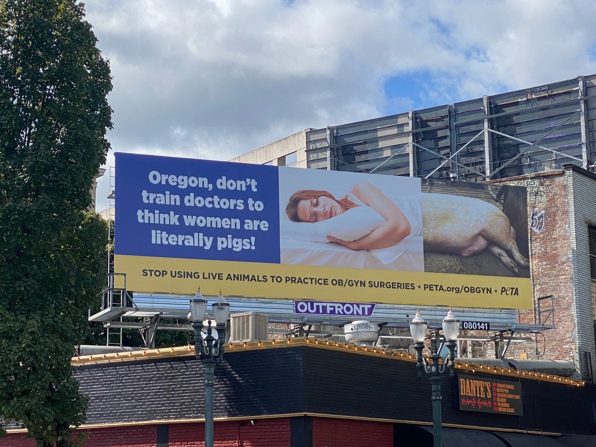 Photo of billboard showing a bisected woman and a pig. Text reads Oregon, don't train doctors to think women are literally pigs!