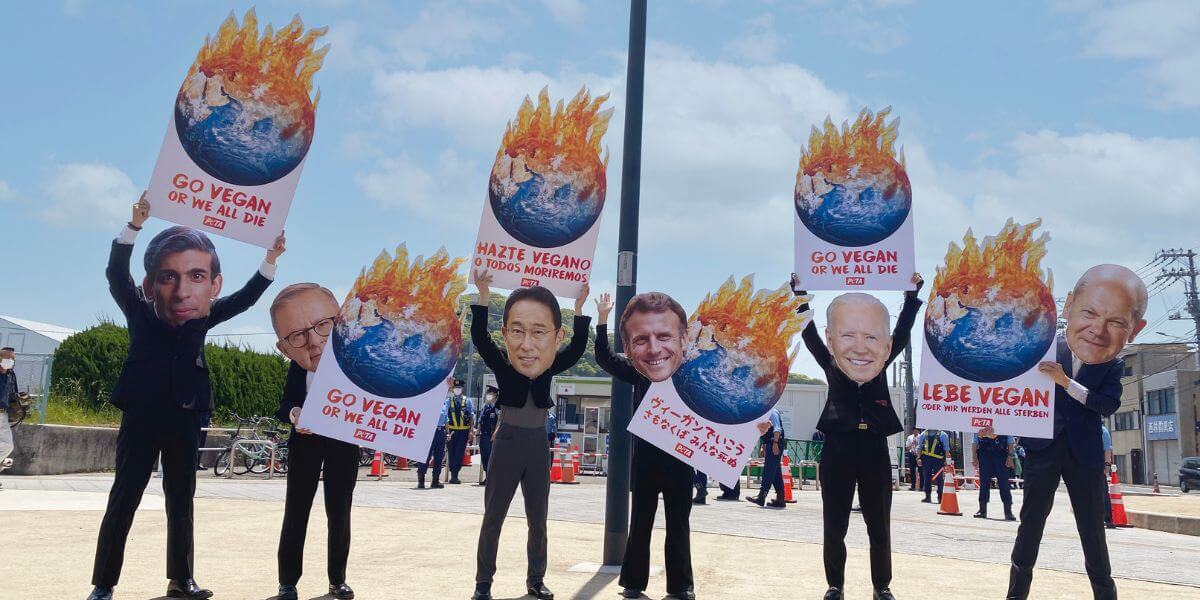 PETA supporters called on attendees at the G7 summit in Hiroshima, Japan, to get serious about the climate catastrophe by promoting vegan living