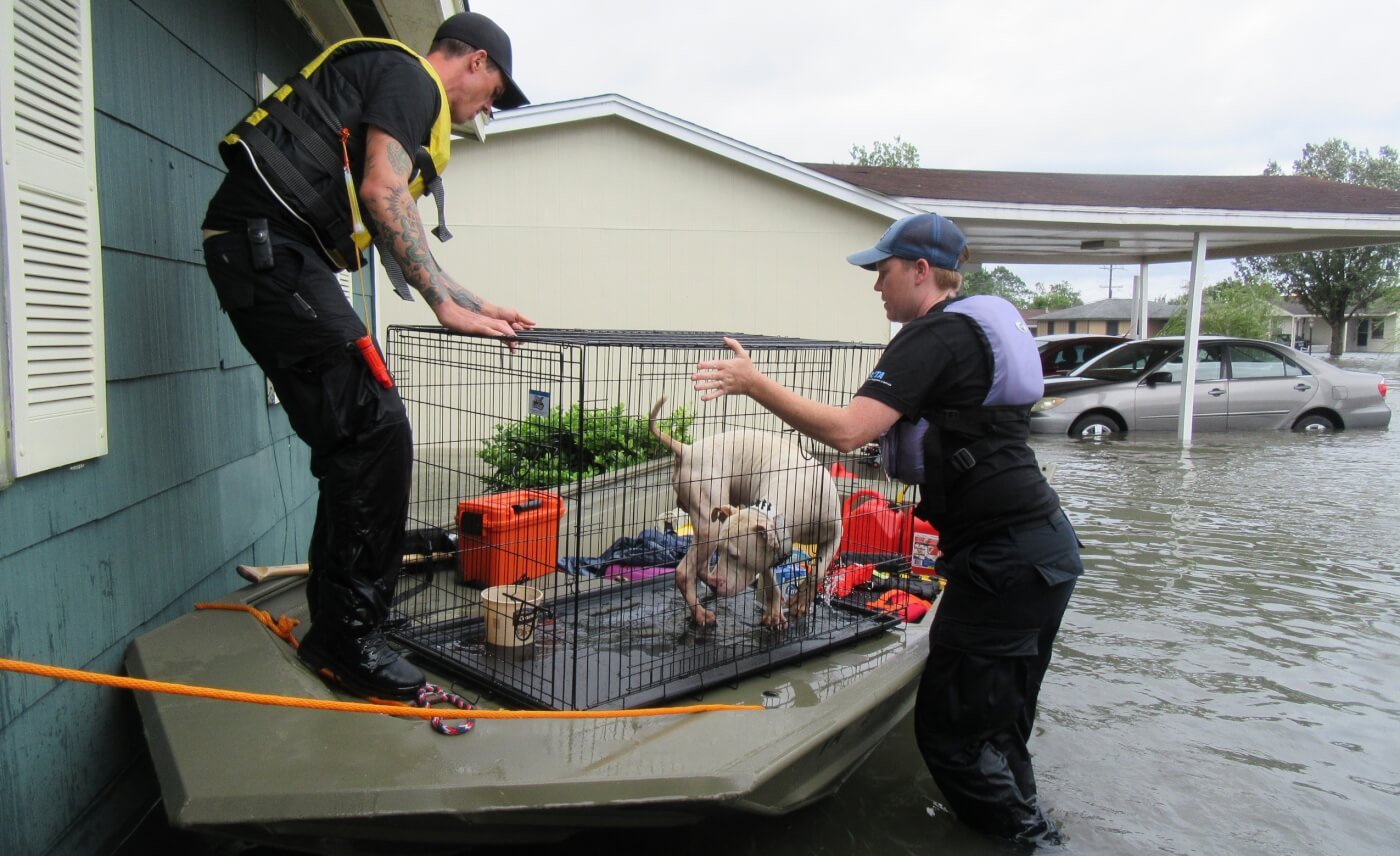 PETA’s rescue team and a dog after Hurricane Harvey