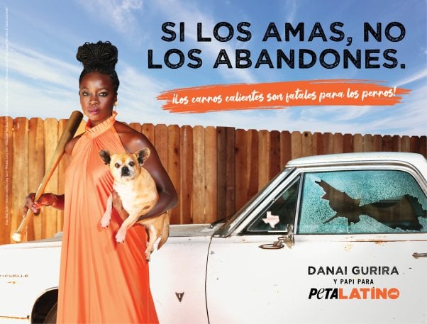 Spanish version of the hot car ad