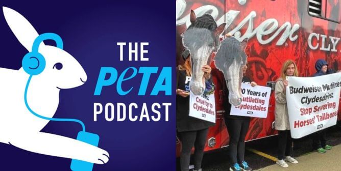 Go Behind the Scenes at PETA With Our New Podcast
