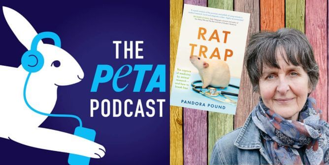 Dr. Pandora Pound next to book Rat Trap with colorful wood background