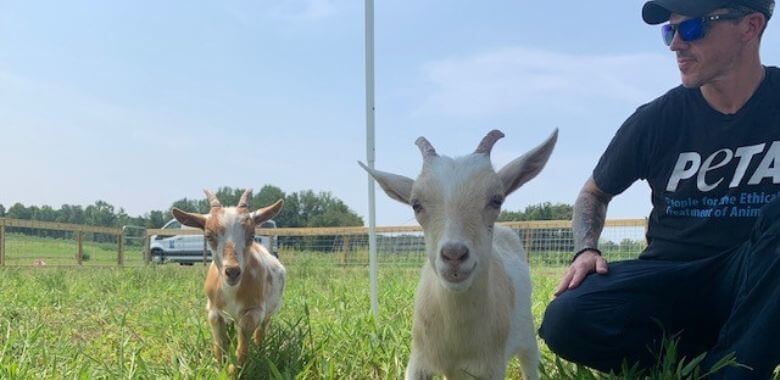 PETA Helps Goats Get Out of a ‘Baaad’ Situation