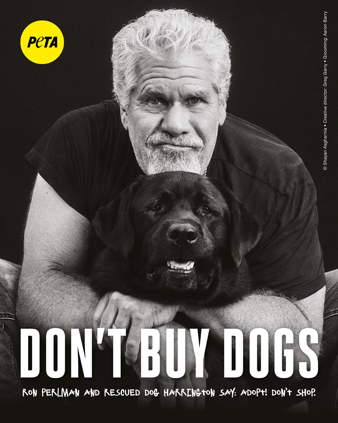 Full page ad showing Ron Perlman holding Harrington, a large black dog