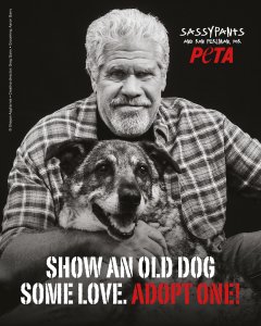 Ron Perlman holds Sassypants, a brown and white dog