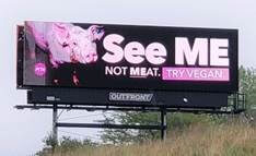see me not meat billboard credit nick gordon ‘See Me, Not Meat!’ Pig’s Midwest Media Blitz Lands in Kansas City, Courtesy of PETA