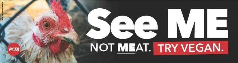 ad with chicken that says "see me, not meat"