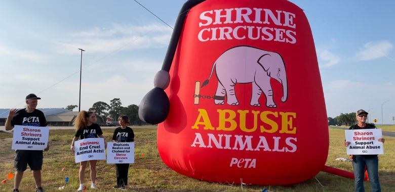 Massive Blow-Up Fez Follows Shrine Circus Over Big-Top Cruelty
