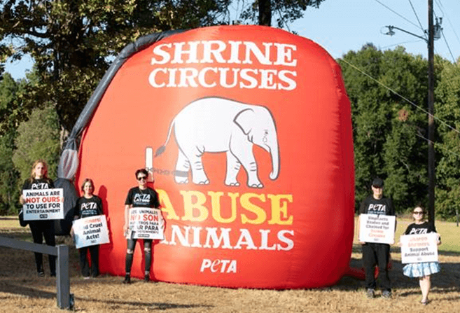 protestors stand next to giant blow-up sign with a chained elephant on it that reads "shrine circuses abuse animals"