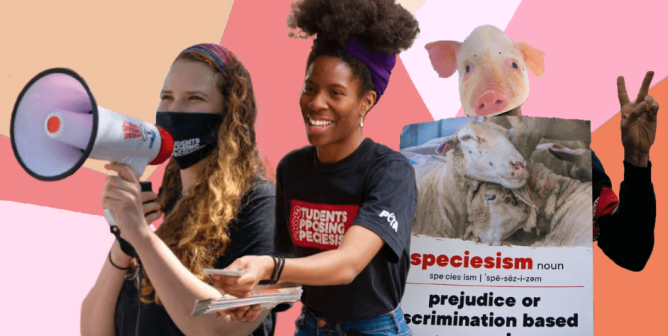 Get Paid to Lead the Charge Against Speciesism—Become an SOS Campus Rep