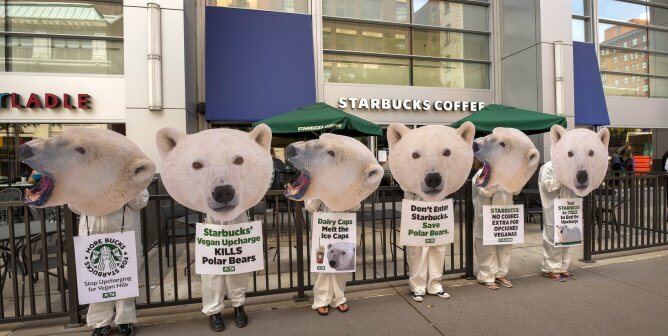 ‘Polar Bears’ Swarm Starbucks Over Pro-Dairy Policy