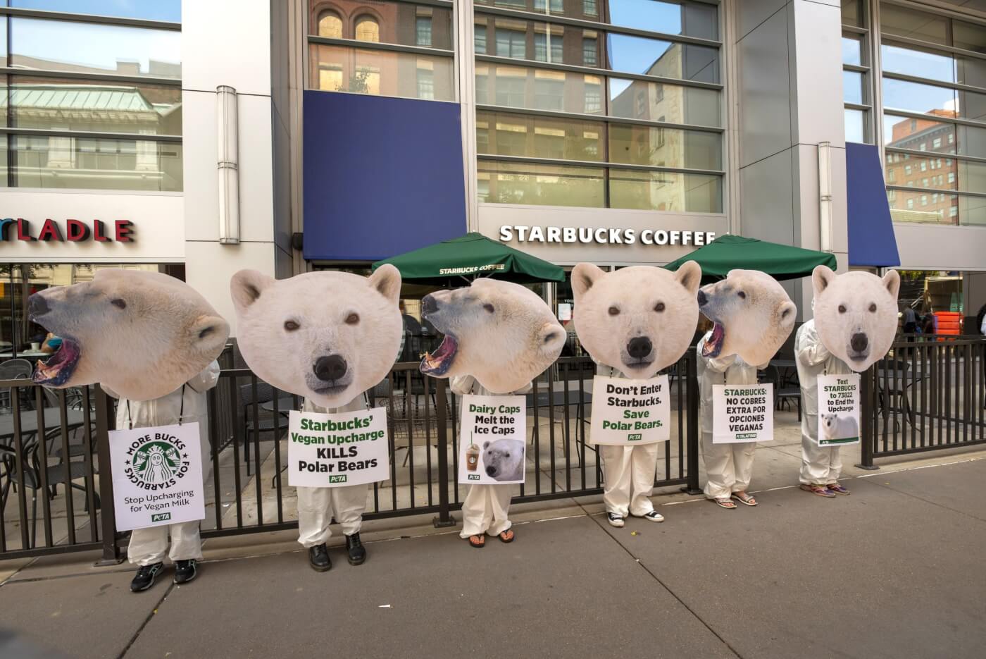 ‘Polar Bears’ Swarm Starbucks Over Pro-Dairy Policy