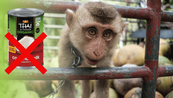 thai kitchen coconut milk and monkey labor image