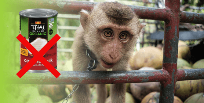 washing monkeys face meme｜TikTok Search
