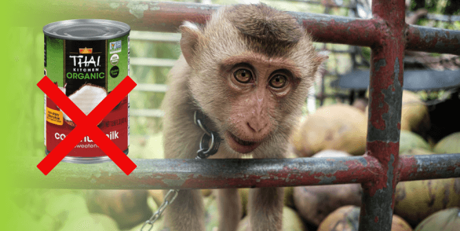 Urge Whole Foods to Ban the Sale of Coconut Milk From Thailand