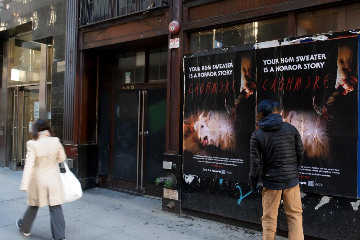 a NYC passerby observing PETA's ad showing how H&M cashmere sweaters are a horror story