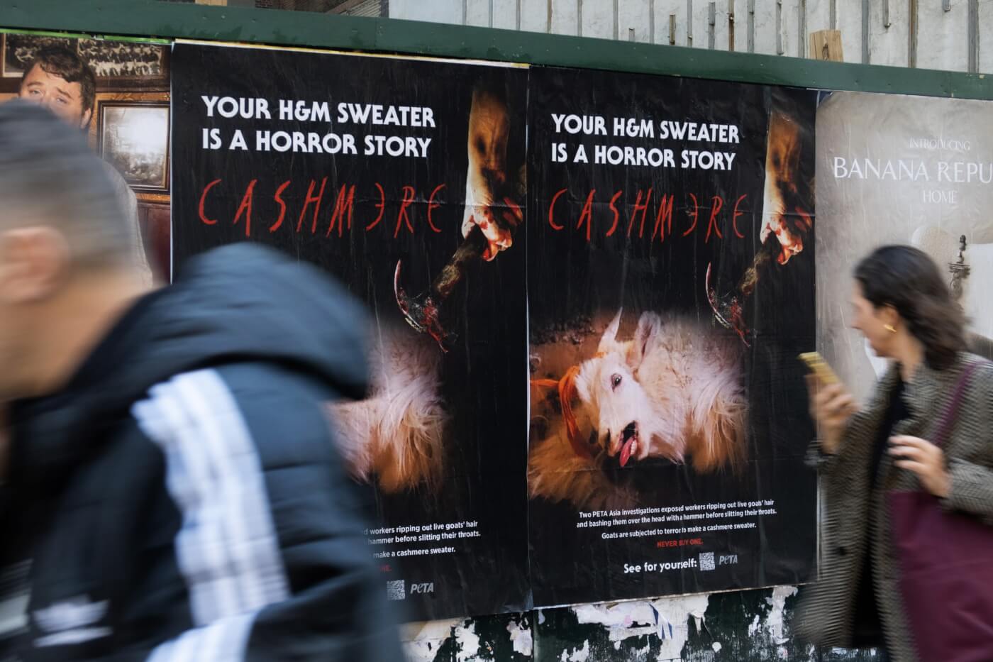 a NYC passerby observing PETA's ad showing how H&M cashmere sweaters are a horror story