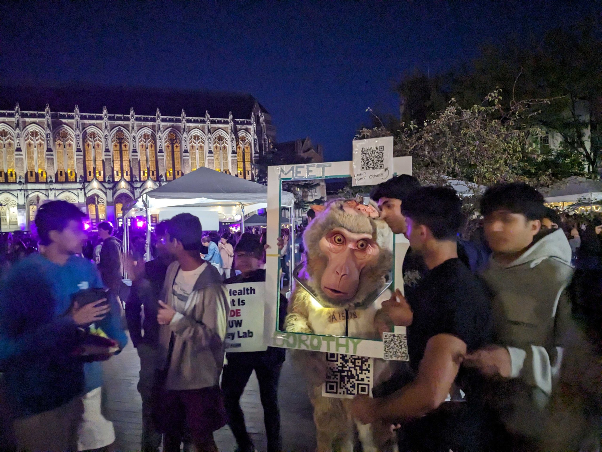 Photo of Dorothy Carnival Demo