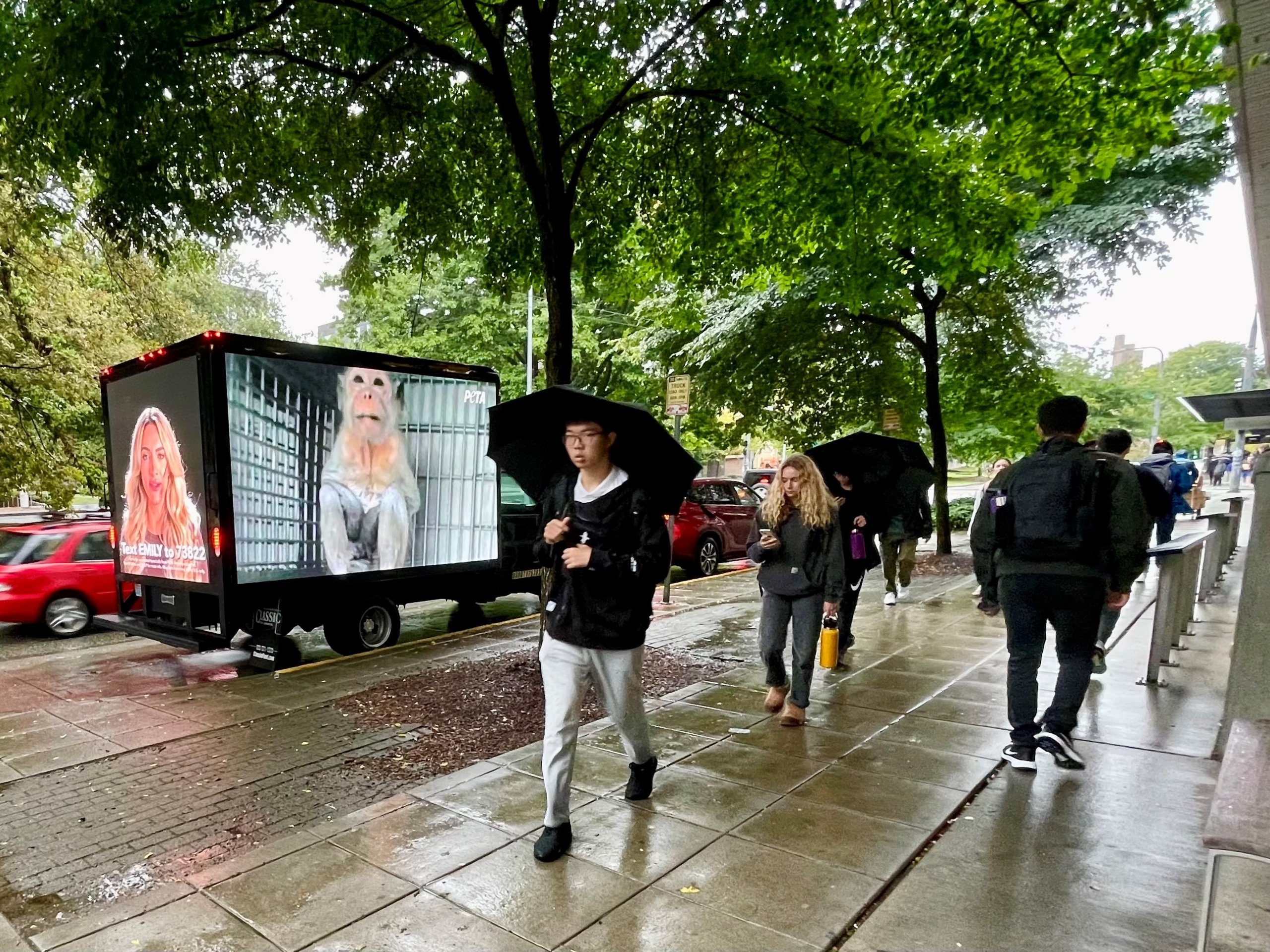 Mobile billboard with monkey video display