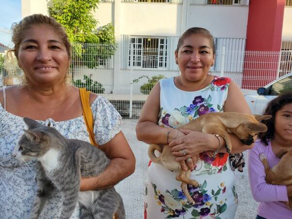 animals who where spayed/neutered in Cancun