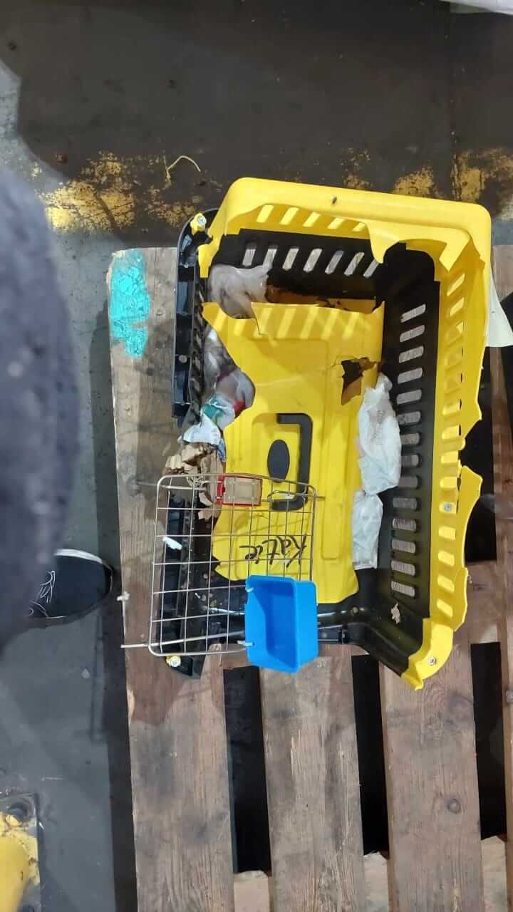 yellow crate with the plastic roofing torn off