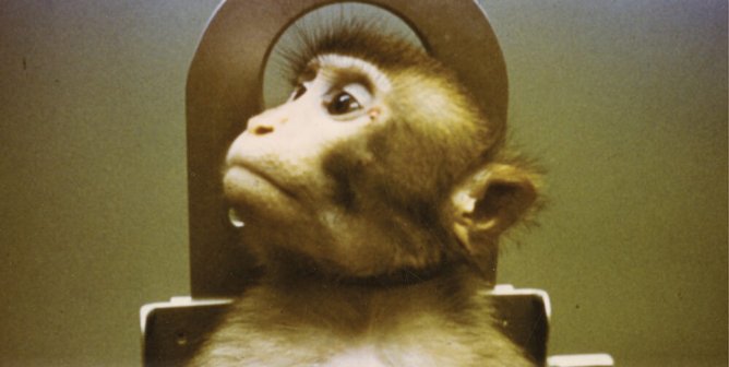 Animal Liberation: It’s Up to You!