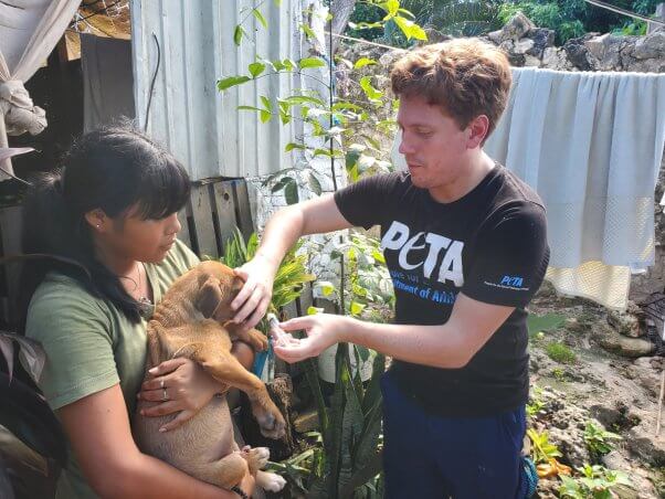 A PETA staffer provides care for a local dog