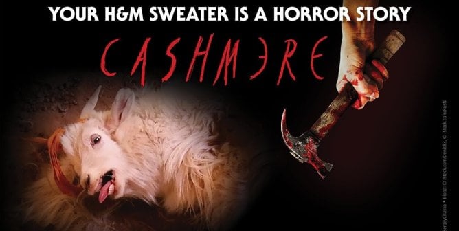 PETA ad about H&M cashmere sweaters that reads "Your H&M Sweater Is a Horror Story: Cashmere" and shows a human hand holding a bloody hammer near a suffering goat
