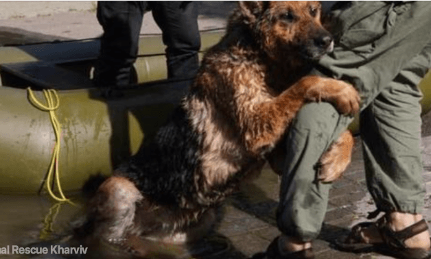 ‘I Am You but Different’: PETA President’s Video Calls for Nonviolence