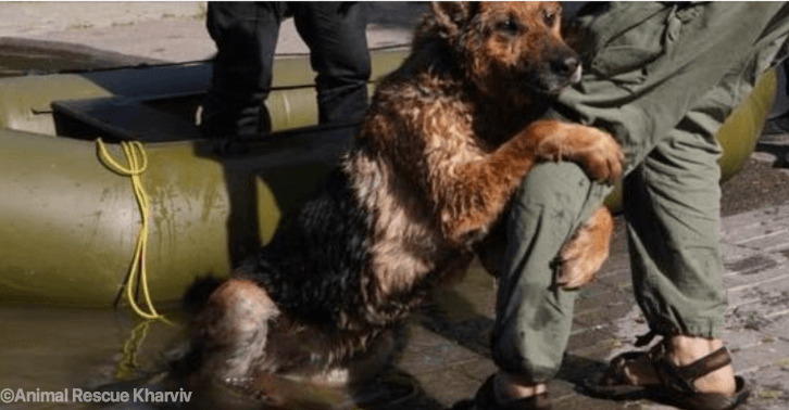 ‘I Am You but Different’: PETA President’s Video Calls for Nonviolence ...