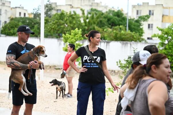 PETA staff holds a dog at the Cancun spay/neuter event