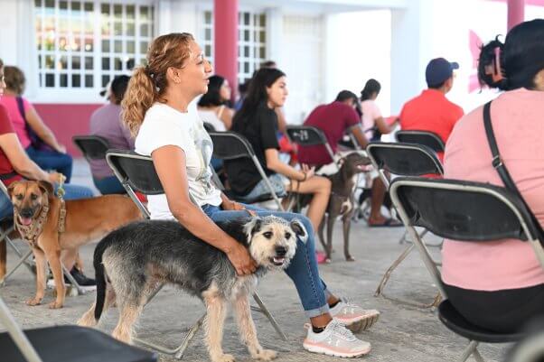 Guests wait for their spay/neuter surgeries in Cancun