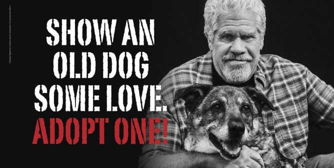 Ron Perlman Joins PETA for an Adoption Ad Featuring His Cuddliest Costars