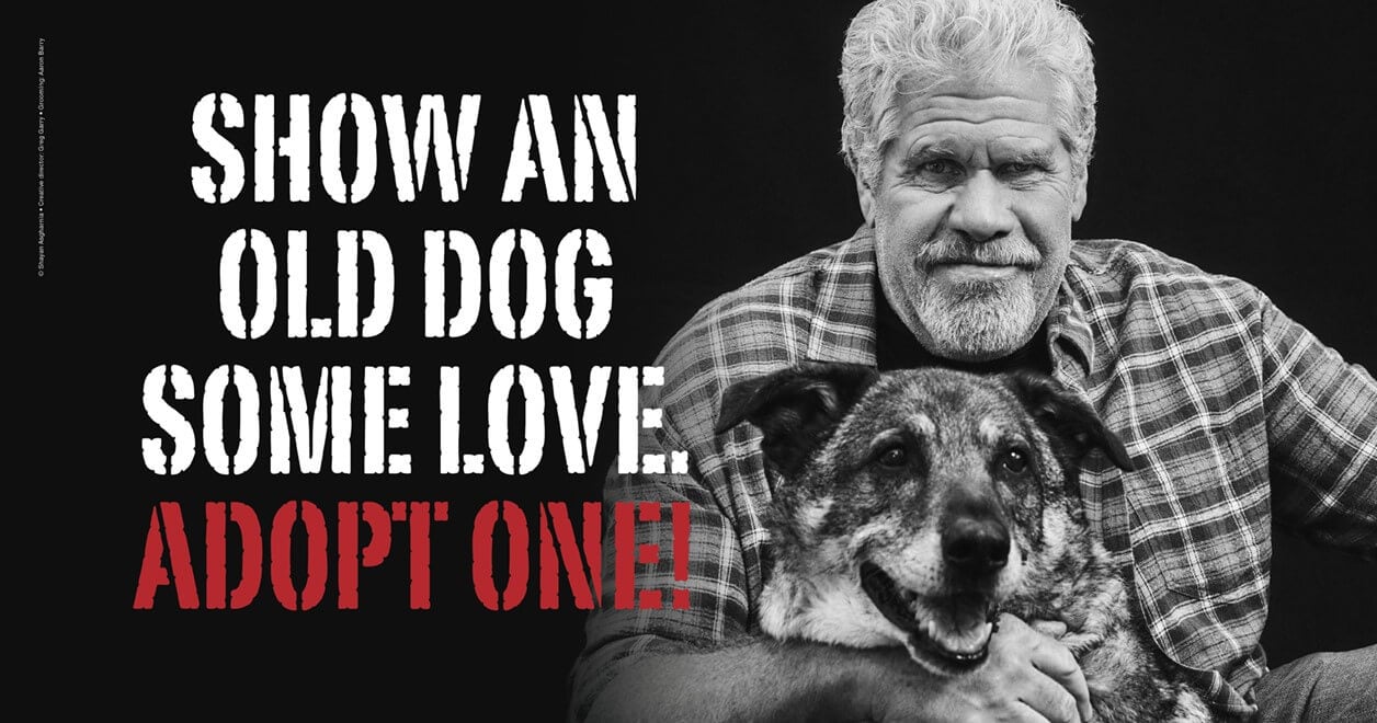 Ron Perlman with dog Sassy next to white and red text that says "Show an old dog some love. Adopt one!"