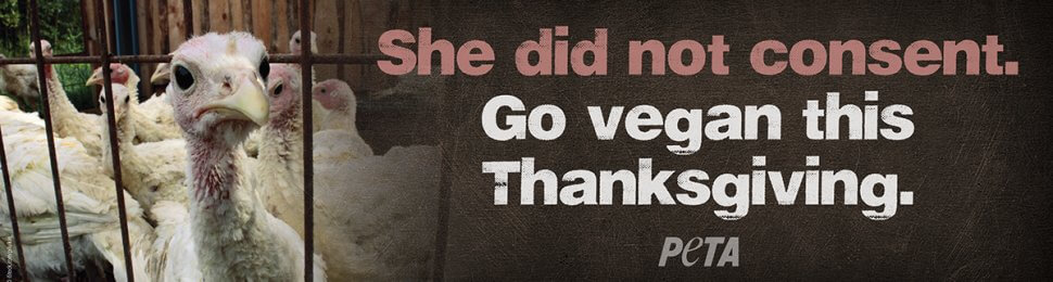 She Did Not Consent. Go Vegan This Thanksgiving. (Turkey)