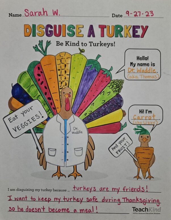 TeachKind Disguise a Turkey Thanksgiving worksheet completed