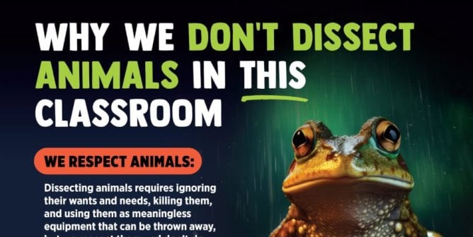 TeachKind Science Why We Don't Dissect Poster with frog, cat, pig, and informational text
