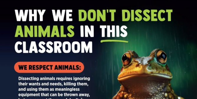 FREE TeachKind Science Anti–Animal Dissection Poster for Your Classroom!
