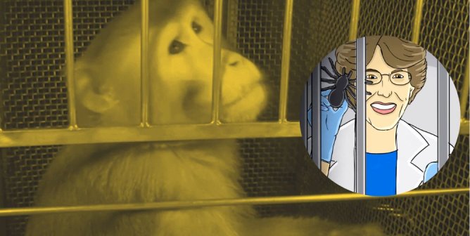 beamish with murray illustration