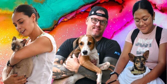 three people holding cats and dogs in front of colorful background