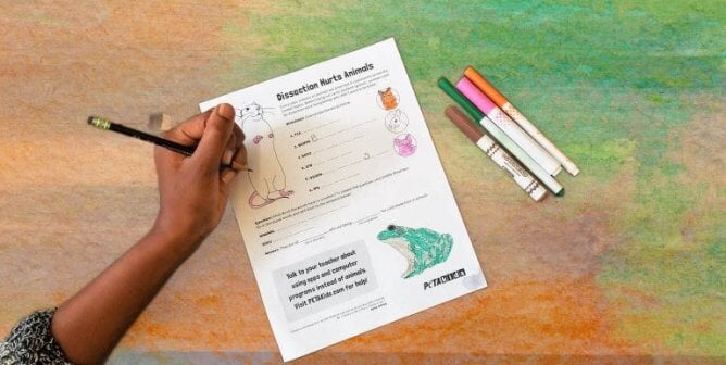 child hand coloring in dissection worksheet