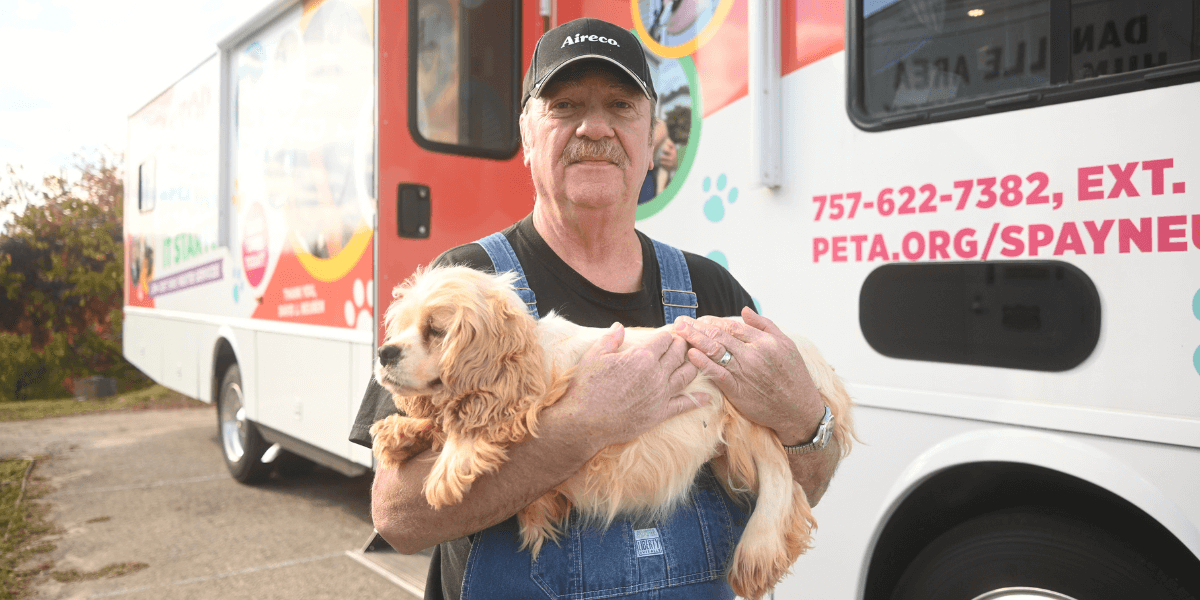 man holding a white and light brown fluffy dog