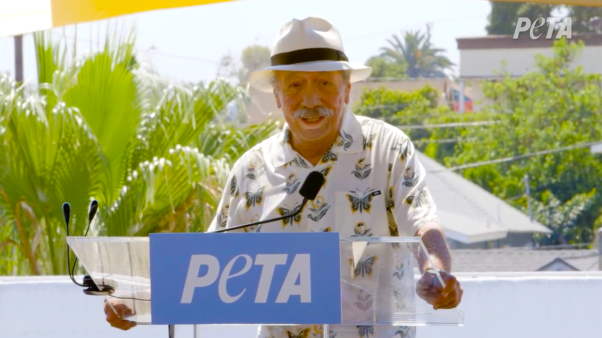 Edward James Olmos Receives Humanitarian Award