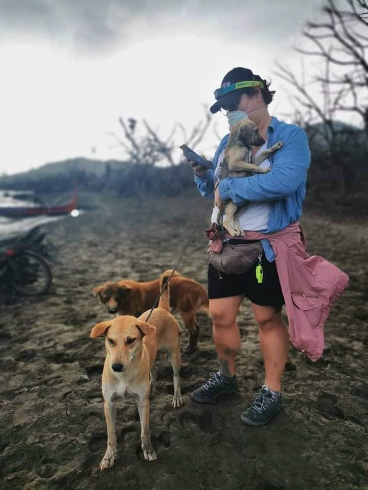Person holding puppy with two dogs standing beside them