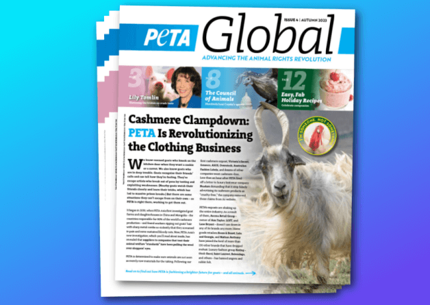 Get ‘PETA Global’ Delivered to Your Door!