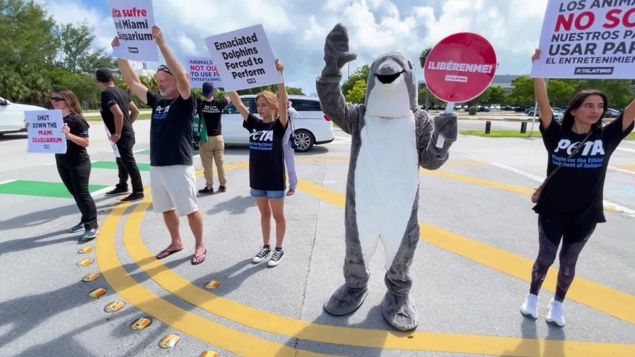 PETA supporters and a dolphin mascot protest outside The Miami Seaquarium
