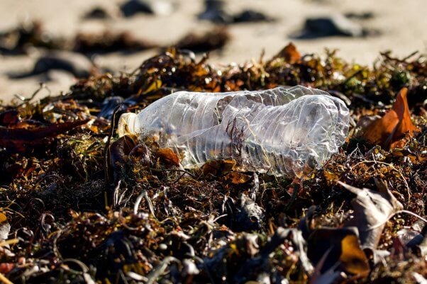 Plastic bottle litter on top of a patch of grass